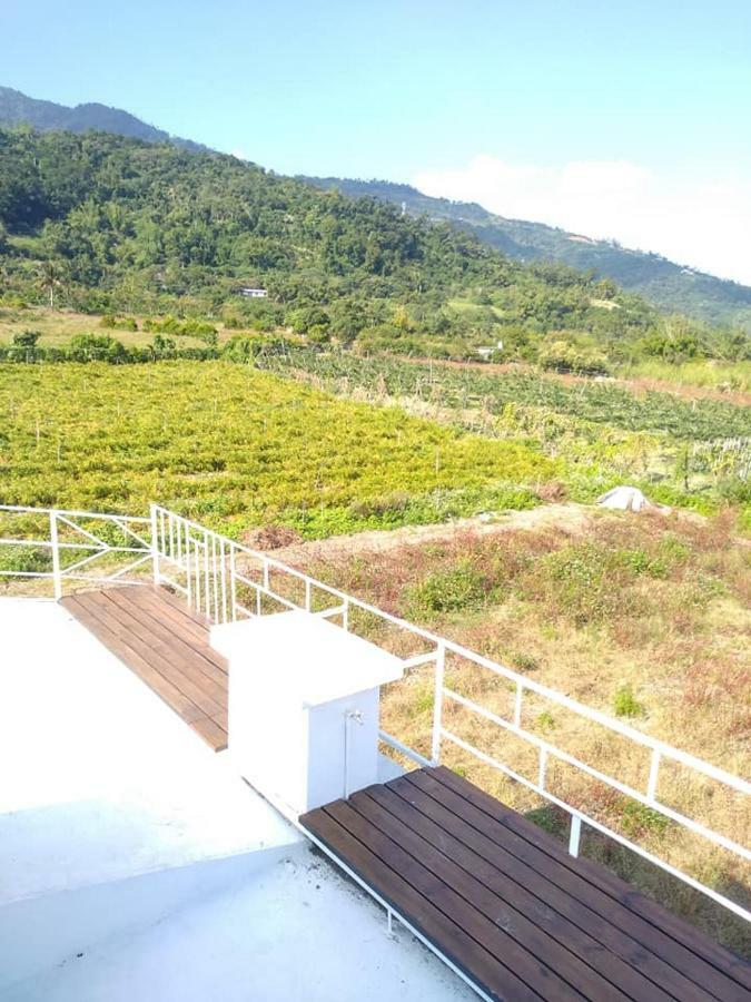 Back To Real Hostel Taitung Exterior photo